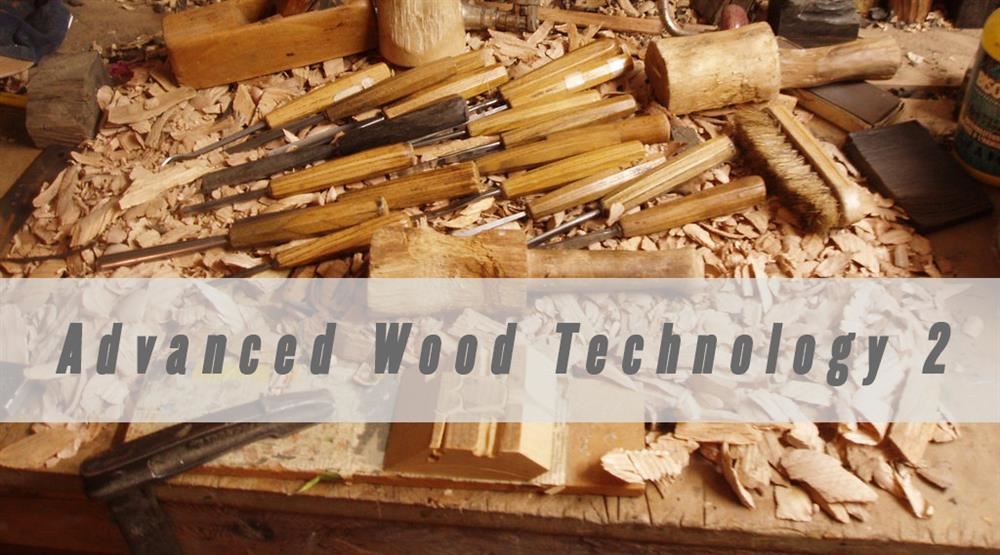 Advanced Wood Tech 2 Advanced Wood Tech 2